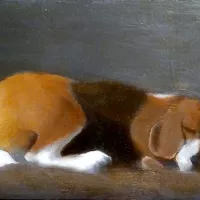 Slapende Beagle 