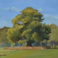 Bosrand, 's-Graveland